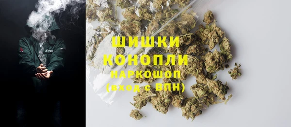 МДПВ Липки
