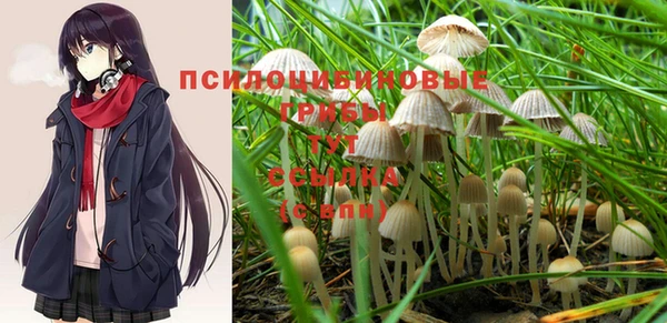 МДПВ Липки