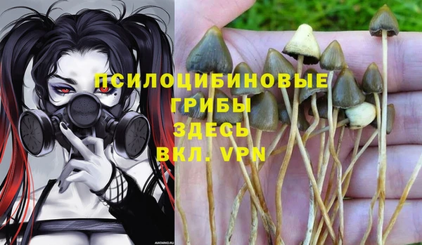 герыч Лихославль