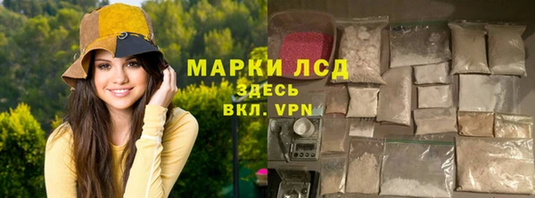 МДПВ Липки